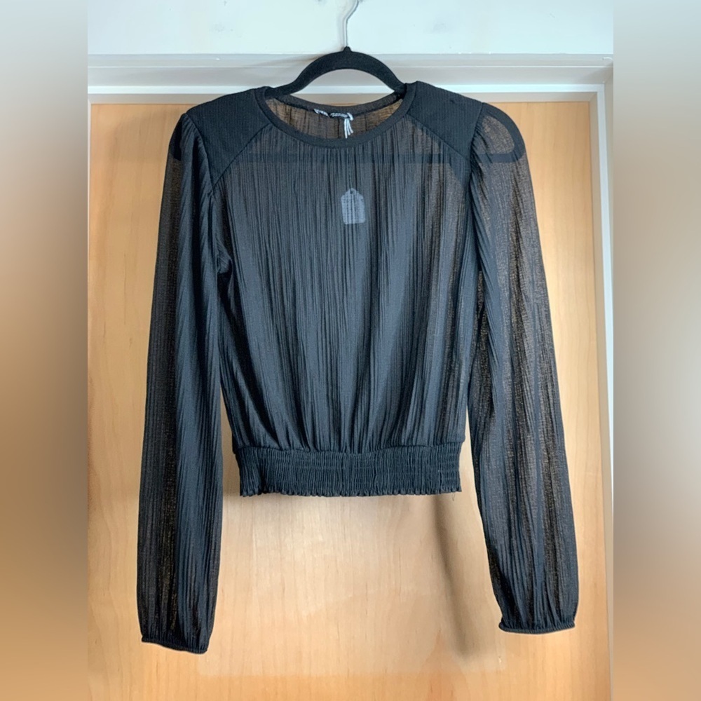 Zara Pleated Sheer Blouse.     Size-Snall - Picture 2 of 4